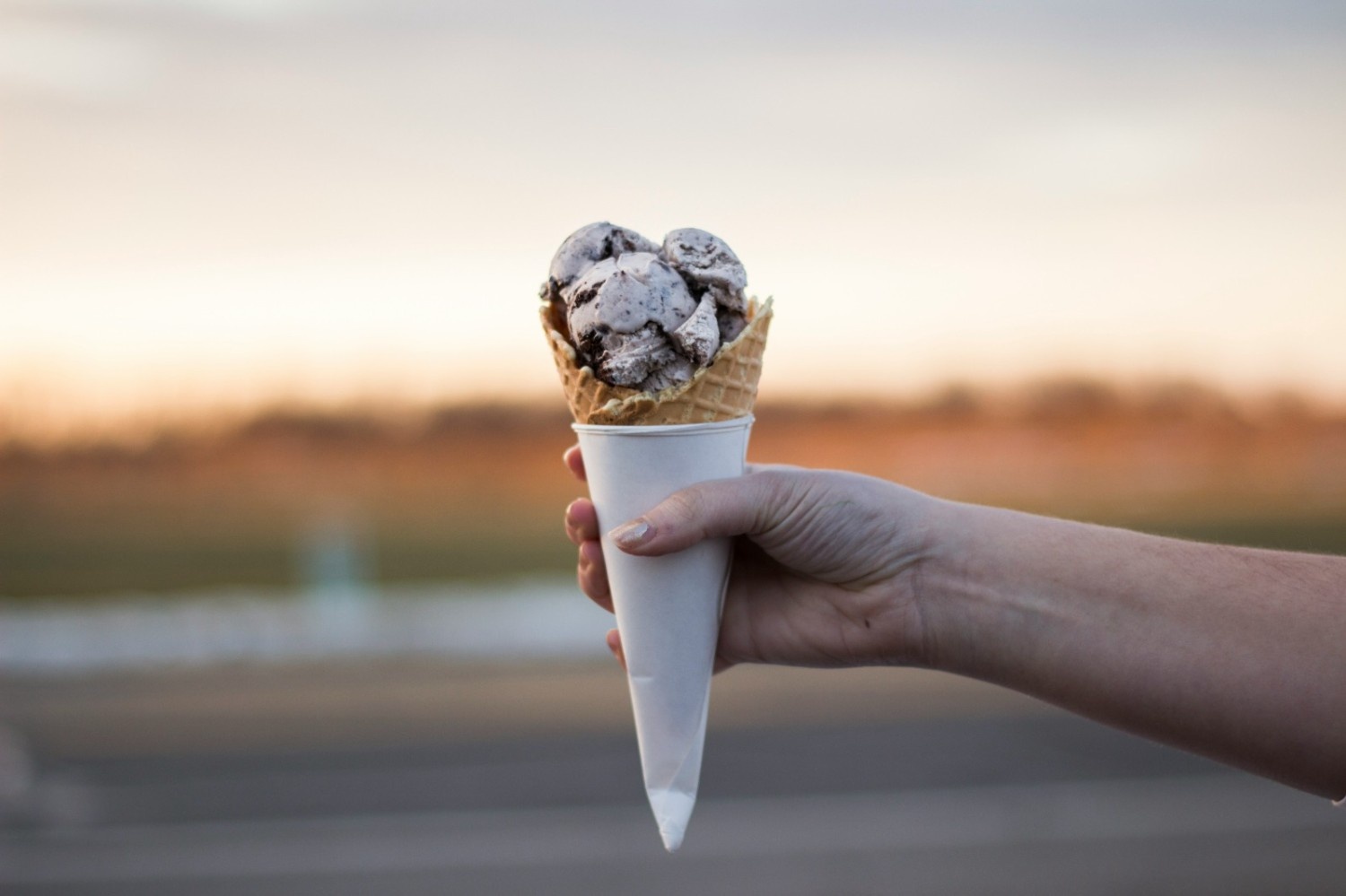 Hedgehog Ice Cream